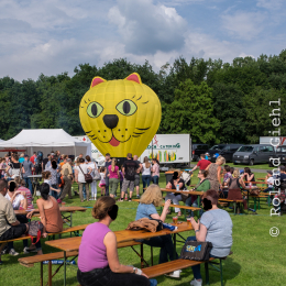 Bonn-Ballon-Festival_20160611_025