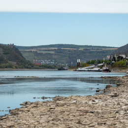 Kaub_008_20261004