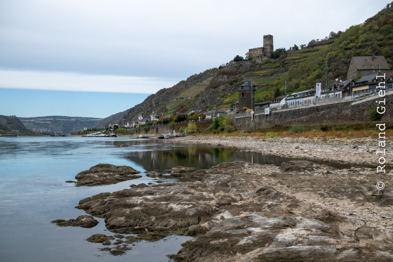 Kaub_010_20261004