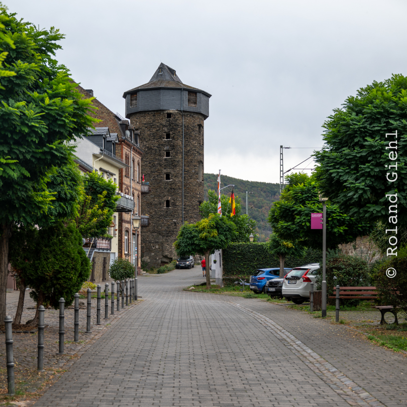 Kaub_018_20261004