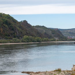 Kaub_002_20261004