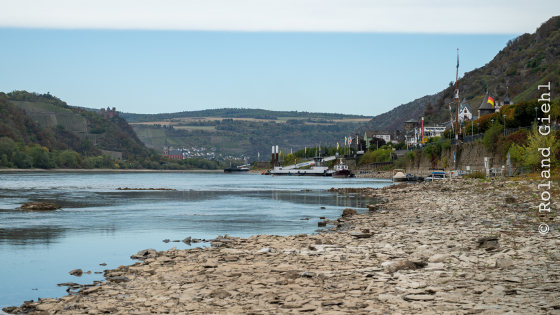 Kaub_008_20261004