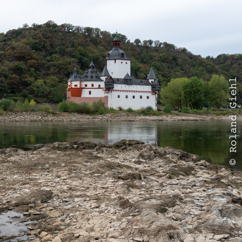 Kaub_007_20261004