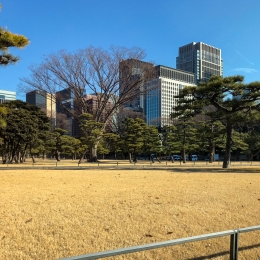 Tokyo_20180206_025