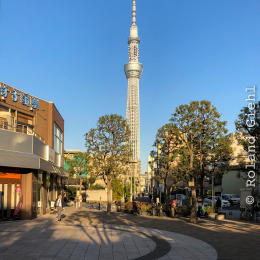 Tokyo_20180312_161