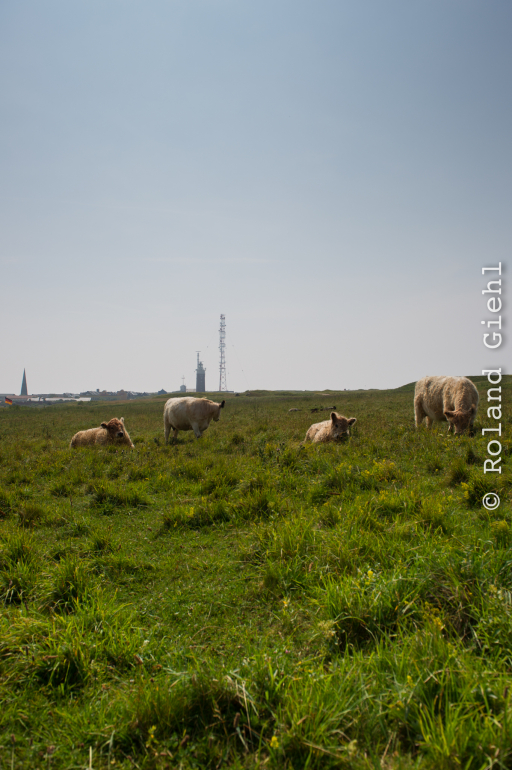 Helgoland_Tag_06_20140709_032