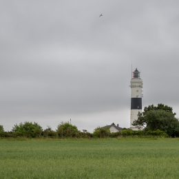 Sylt-2025_056_20250616