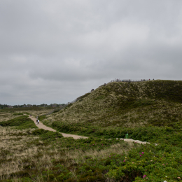 Sylt-2025_051_20250616