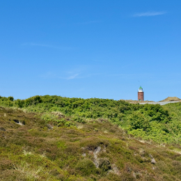 Sylt-2025_112_20250621