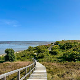 Sylt-2025_104_20250620
