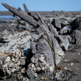 Sylt-2025_099_20250620