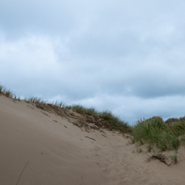 Sylt-2025_044_20250616