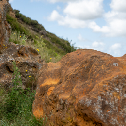 Sylt-2025_142_20250625