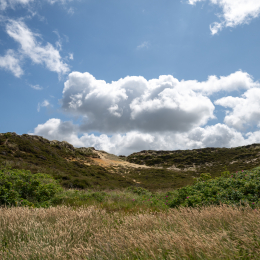 Sylt-2025_139_20250625