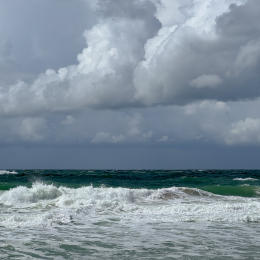 Sylt-2025_129_20250623