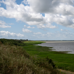 Sylt-2025_151_20250625