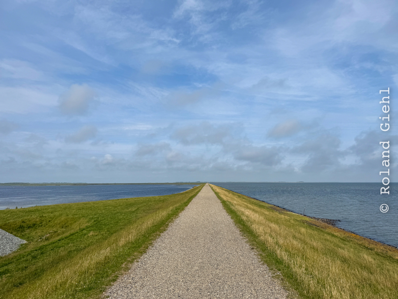 Sylt-2025_036_20250615