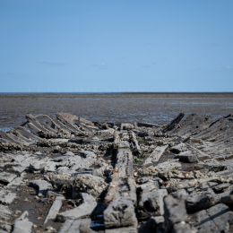 Sylt-2025_100_20250620