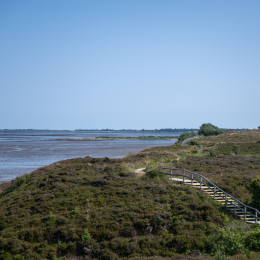Sylt-2025_103_20250620