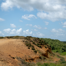 Sylt-2025_152_20250625
