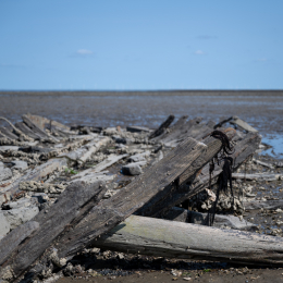 Sylt-2025_097_20250620