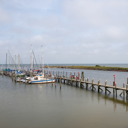 Sylt-2025_035_20250615