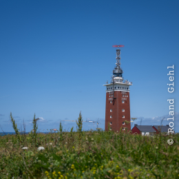 Sylt-2025_066_20250619