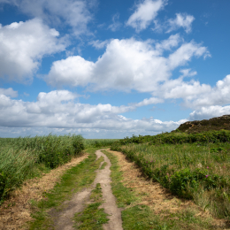 Sylt-2025_138_20250625