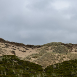 Sylt-2025_050_20250616