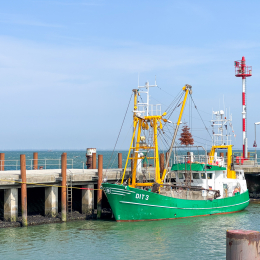 Sylt-2025_059_20250617