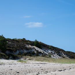 Sylt-2025_095_20250620