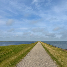 Sylt-2025_036_20250615
