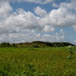 Sylt-2025_148_20250625