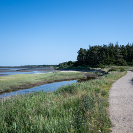 Sylt-2025_110_20250620