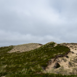 Sylt-2025_048_20250616