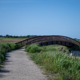 Sylt-2025_108_20250620