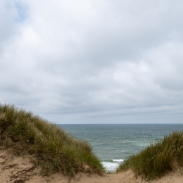 Sylt-2025_045_20250616