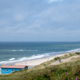 Sylt-2025_040_20250616