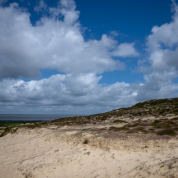 Sylt-2025_136_20250625