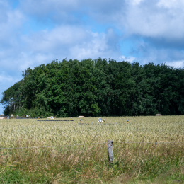 Sylt-2025_134_20250625