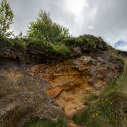 Sylt-2025_140_20250625