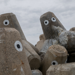 Sylt-2025_029_20250615