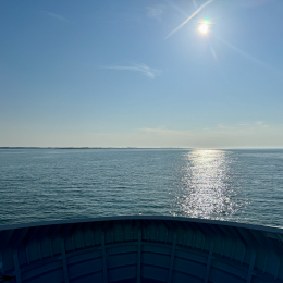 Sylt-2025_125_20250621