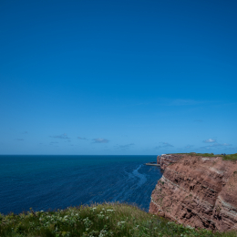 Sylt-2025_065_20250619