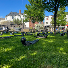 Sylt-2025_060_20250618