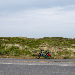 Sylt-2025_031_20250615