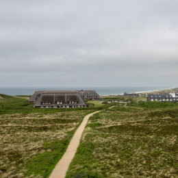 Sylt-2025_052_20250616