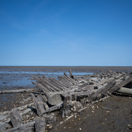 Sylt-2025_098_20250620