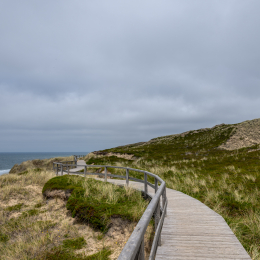 Sylt-2025_049_20250616
