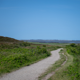 Sylt-2025_101_20250620